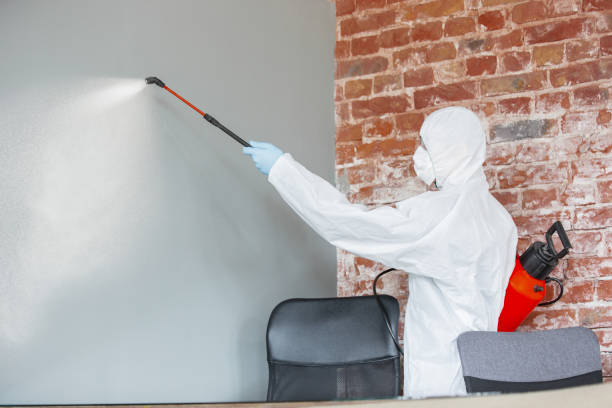 Best Mold Remediation for Vacation Homes  in North Hills, NY
