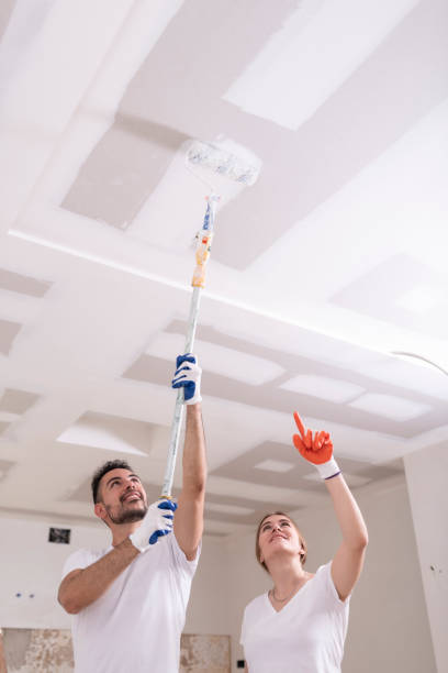Best Basement Mold Removal  in North Hills, NY