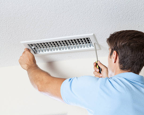 Best Environmental Consulting for Mold Prevention  in North Hills, NY