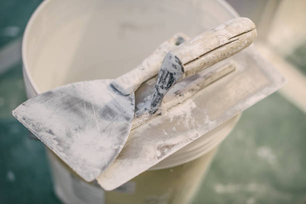 Best Water Damage & Mold Remediation  in North Hills, NY